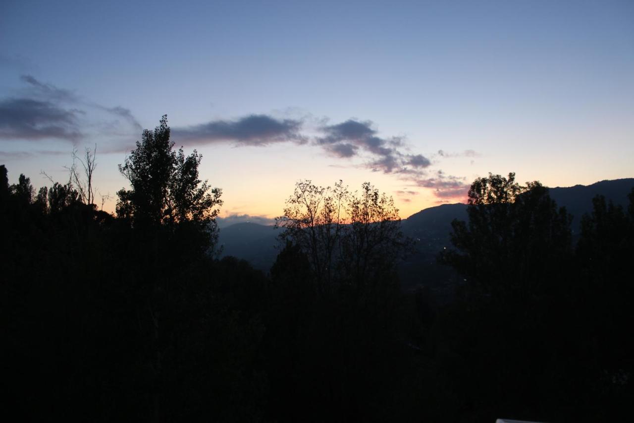Austria Luxury Apartments, Faraya Hotel Bagian luar foto